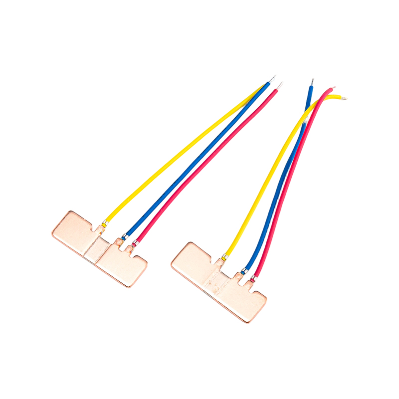FHS-008 Низкомощностный помехозащищенный прецизионный шунт 