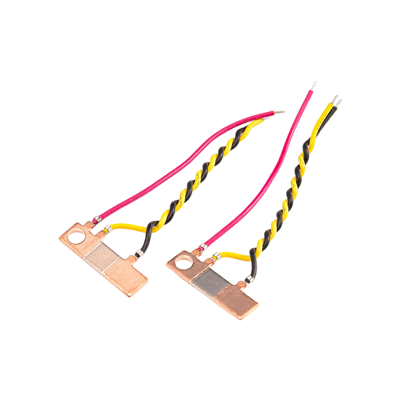 FHS-013 Высокостaбильный термостойкий шунт 